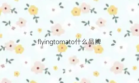 flyingtomato什么品牌(flyingtot品牌)