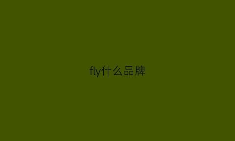 fly什么品牌(fly是什么牌子的衣服)