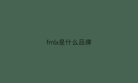 fmlx是什么品牌(fmlb是什么牌子)