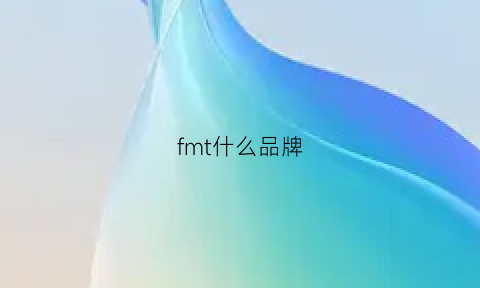 fmt什么品牌(fm是哪个品牌)