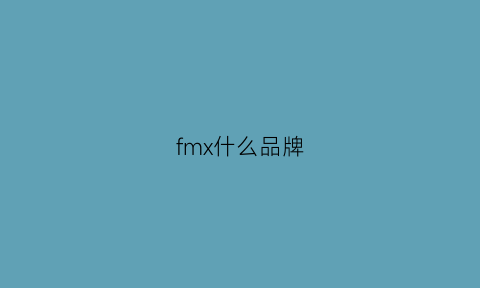 fmx什么品牌