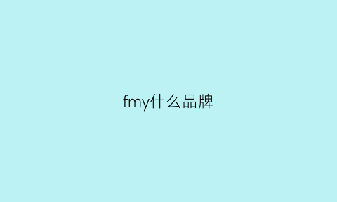 fmy什么品牌(fy是什么品牌)