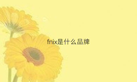 fnix是什么品牌(fnj是什么品牌)