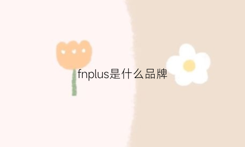 fnplus是什么品牌(fnj是什么品牌)