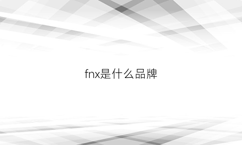 fnx是什么品牌(fnj是什么品牌)