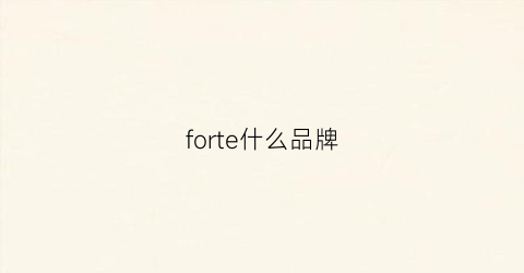 forte什么品牌(fortei品牌)