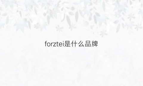 forztei是什么品牌