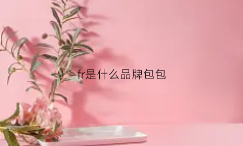 fr是什么品牌包包(fr是什么牌子包)