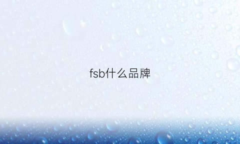 fsb什么品牌(FSB什么品牌)