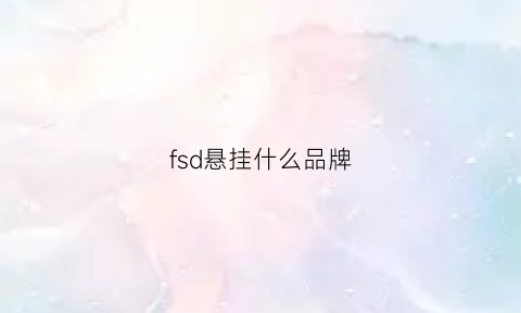 fsd悬挂什么品牌(fsd悬挂是什么)