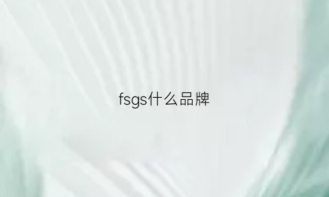 fsgs什么品牌(fs是什么品牌)