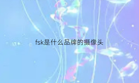 fsk是什么品牌的摄像头(fsk是什么牌子)