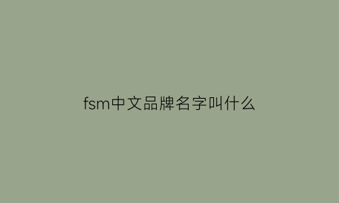 fsm中文品牌名字叫什么