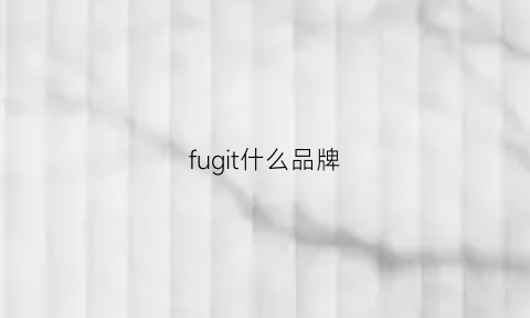 fugit什么品牌(fuji是什么牌子)