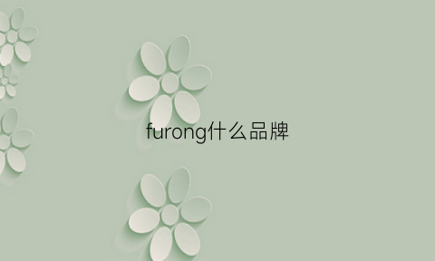 furong什么品牌(fujinon是什么牌子)