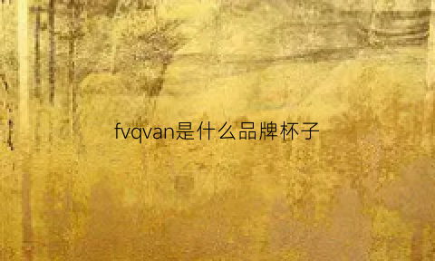 fvqvan是什么品牌杯子(f杯是什么样的)