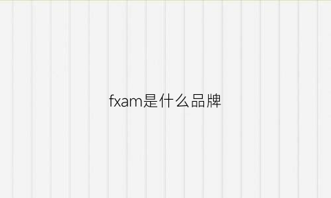 fxam是什么品牌(fxo是什么牌子)