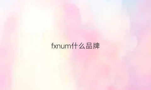 fxnum什么品牌(fx是什么品牌)