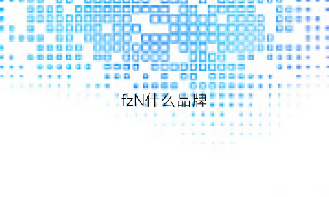 fzN什么品牌(fzs是什么品牌)