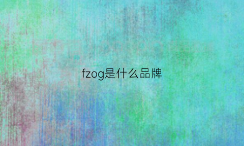 fzog是什么品牌(fz是什么品牌的缩写)