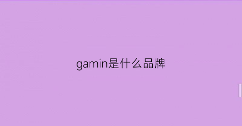 gamin是什么品牌(gasn是什么品牌)