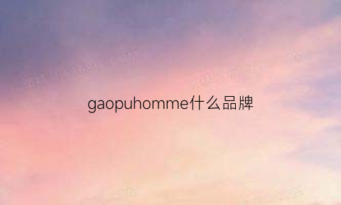 gaopuhomme什么品牌(gaopuhomme什么牌子的衣服)