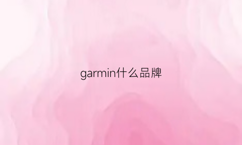 garmin什么品牌(garmin哪款性价比高)