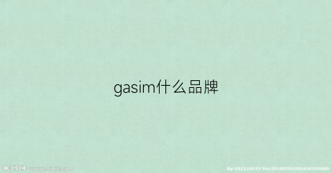gasim什么品牌(gas品牌官网)