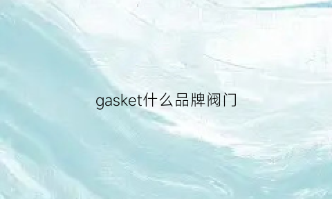 gasket什么品牌阀门(safelok阀门)