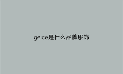 geice是什么品牌服饰(geiei是什么品牌)