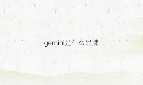 geminl是什么品牌(gemini是什么品牌)