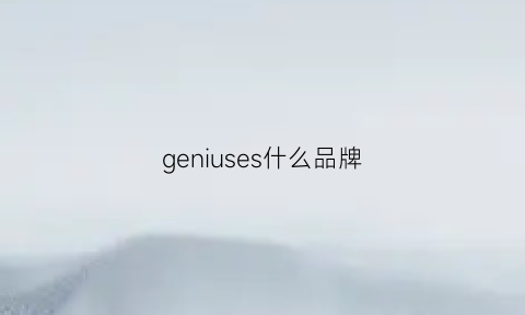 geniuses什么品牌(genius是哪个品牌)