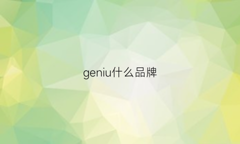 geniu什么品牌(genny品牌)