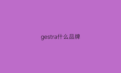 gestra什么品牌