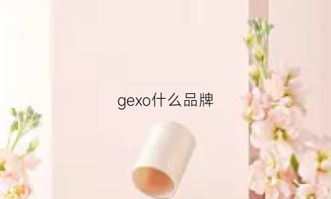 gexo什么品牌(geego品牌)