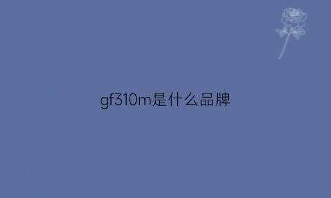 gf310m是什么品牌(gf310m相当于)