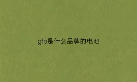 gfb是什么品牌的电池(gs是什么电池)