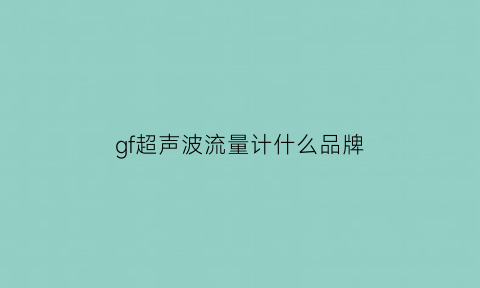 gf超声波流量计什么品牌(手持式进口超声波流量计)