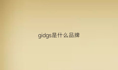 gidgs是什么品牌