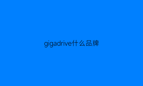 gigadrive什么品牌(giovand是什么牌子)