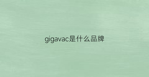 gigavac是什么品牌(giga是什么牌子)