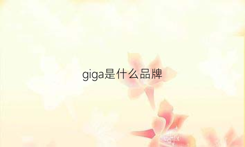 giga是什么品牌(giga是什么牌子)