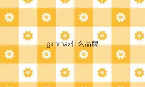 gimmax什么品牌(gillaimar是什么品牌)