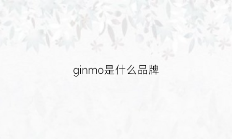 ginmo是什么品牌(gomino是什么牌子)