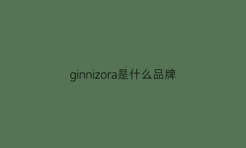 ginnizora是什么品牌(ginza是什么牌子)