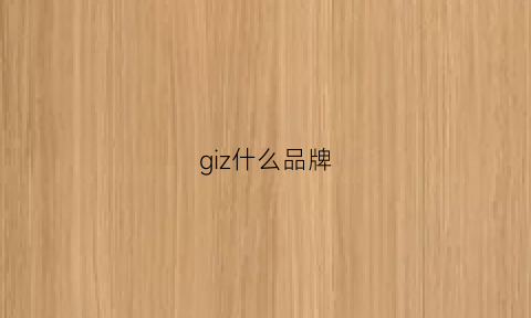 giz什么品牌(gi是什么品牌)