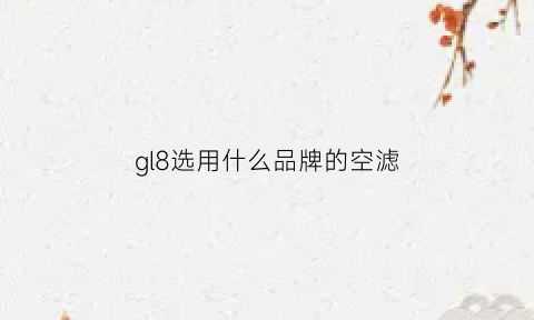 gl8选用什么品牌的空滤(gl8空滤更换)