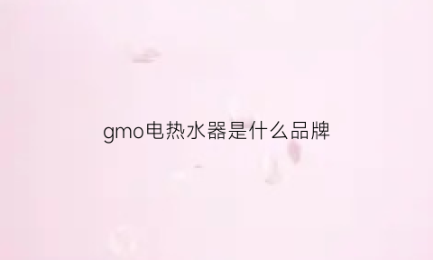 gmo电热水器是什么品牌(gmo热水器的使用方法)