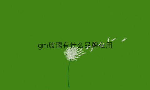 gm玻璃有什么品牌在用(gm玻璃有什么品牌在用吗)