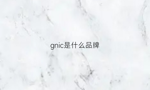 gnic是什么品牌(gn是啥牌子)